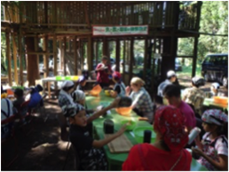 千葉自然学校 事例紹介